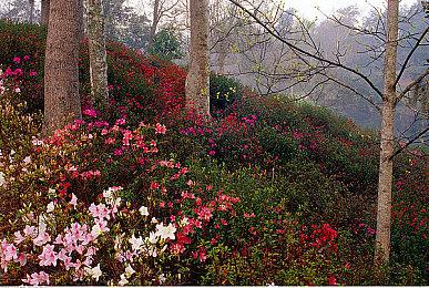 传《烈火战车：复活》由《毁灭全明星》团队打造